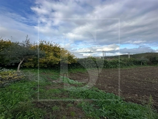 Terreno para Venda em Alvega e Concavada Foto 7