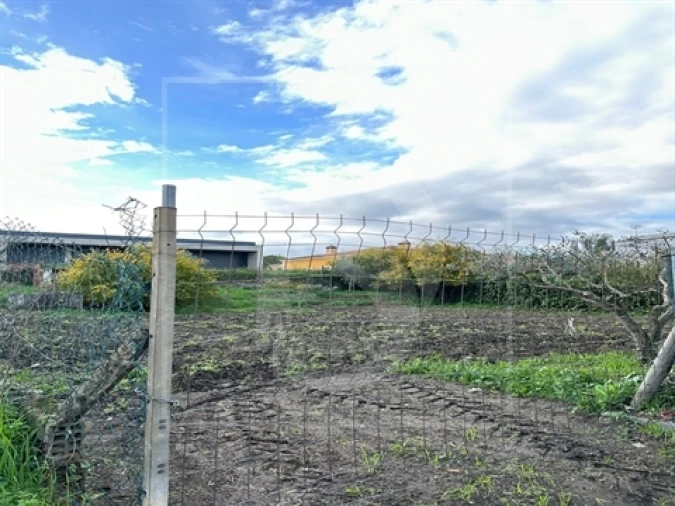 Terreno para Venda em Alvega e Concavada Foto 12