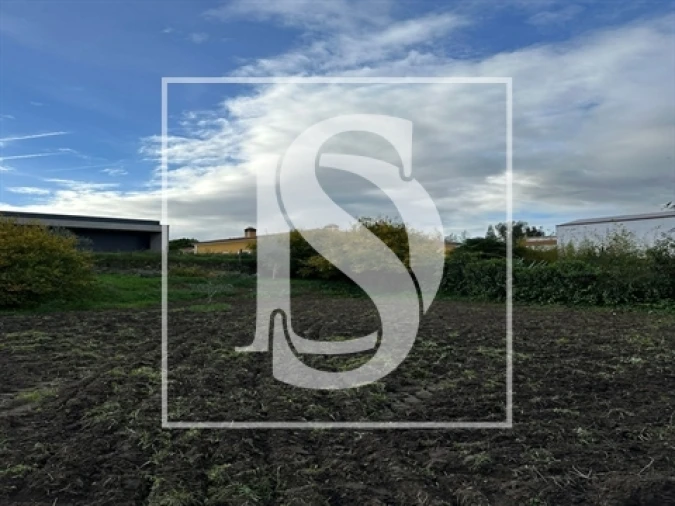 Terreno para Venda em Alvega e Concavada Foto 3