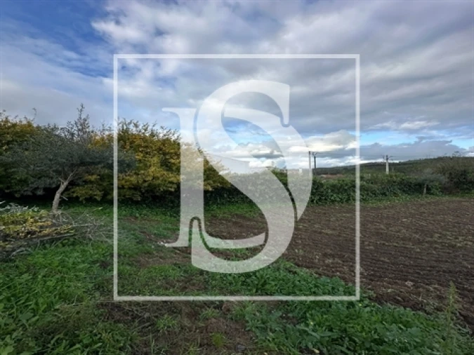 Terreno para Venda em Alvega e Concavada Foto 7