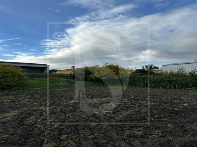 Terreno para Venda em Alvega e Concavada Foto 3