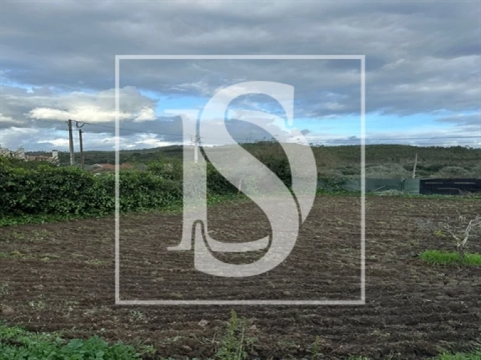 Terreno para Venda em Alvega e Concavada Foto 10