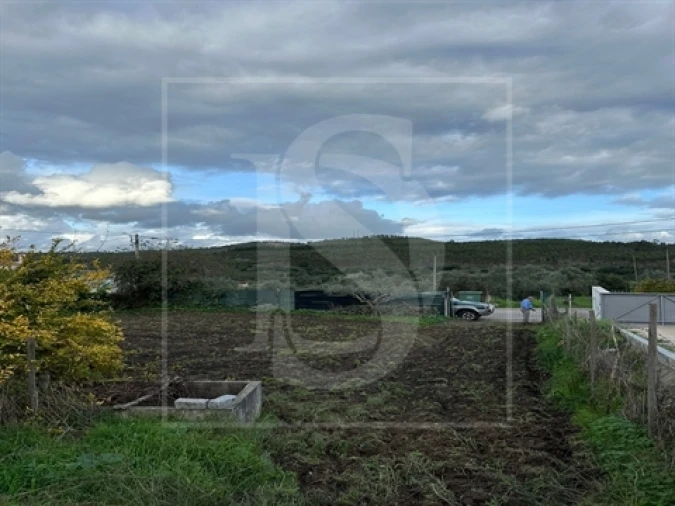 Terreno para Venda em Alvega e Concavada Foto 6