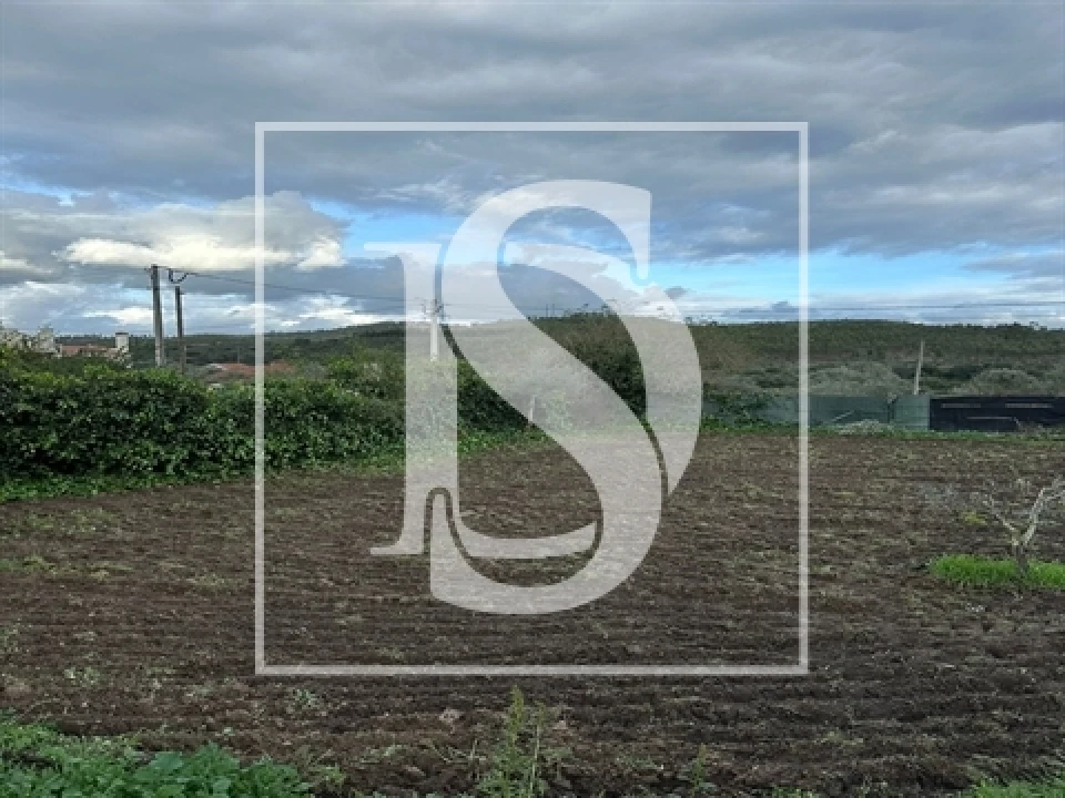Terreno para Venda em Alvega e Concavada Foto 10