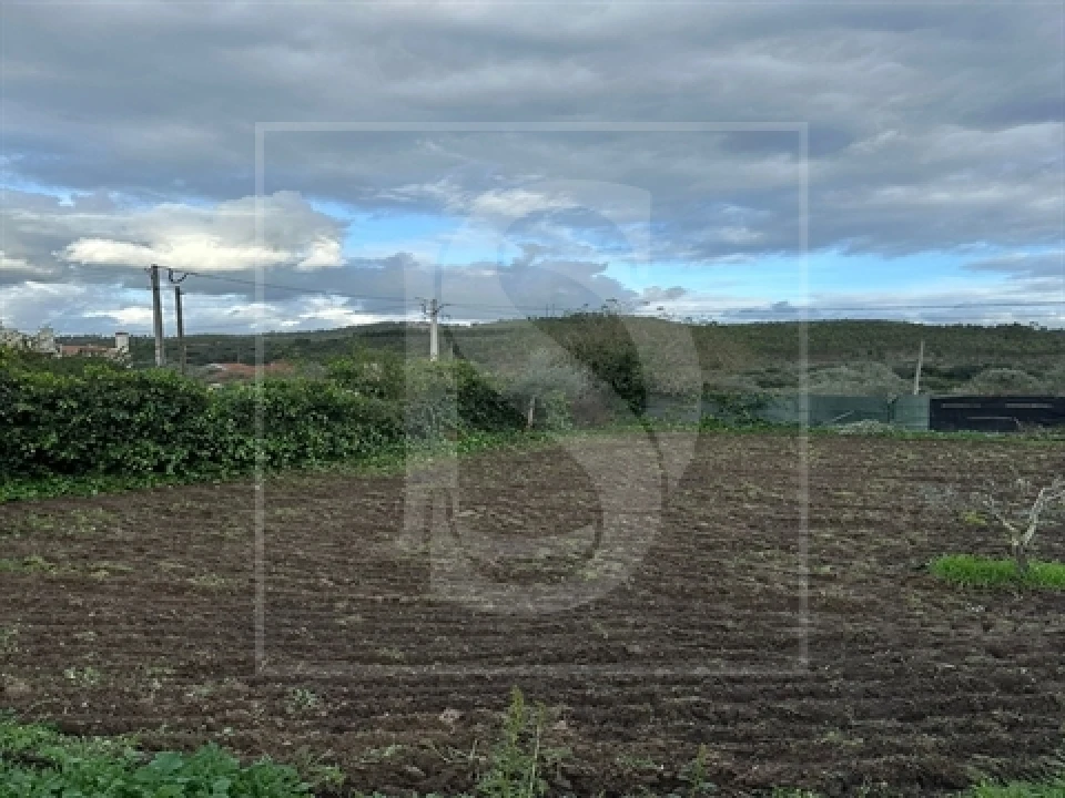 Terreno para Venda em Alvega e Concavada Foto 10