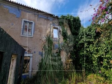 Quinta T0 para Venda em Santa Clara