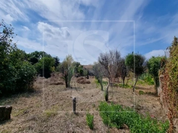 Quinta T0 para Venda em Santa Clara