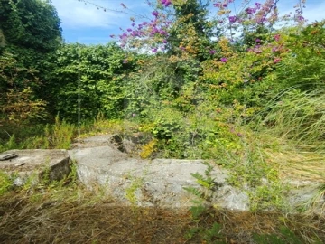 Quinta T0 para Venda em Santa Clara