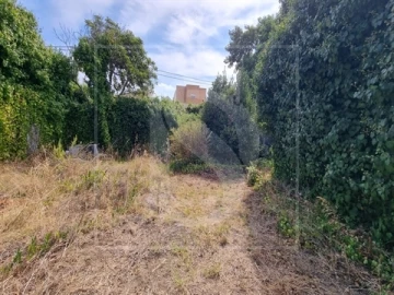 Quinta T0 para Venda em Santa Clara