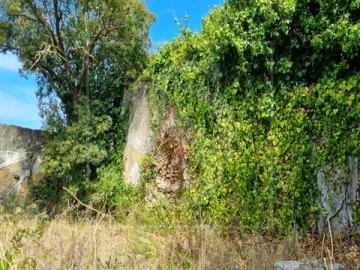 Quinta T0 para Venda em Santa Clara