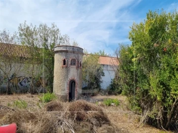 Quinta T0 para Venda em Santa Clara