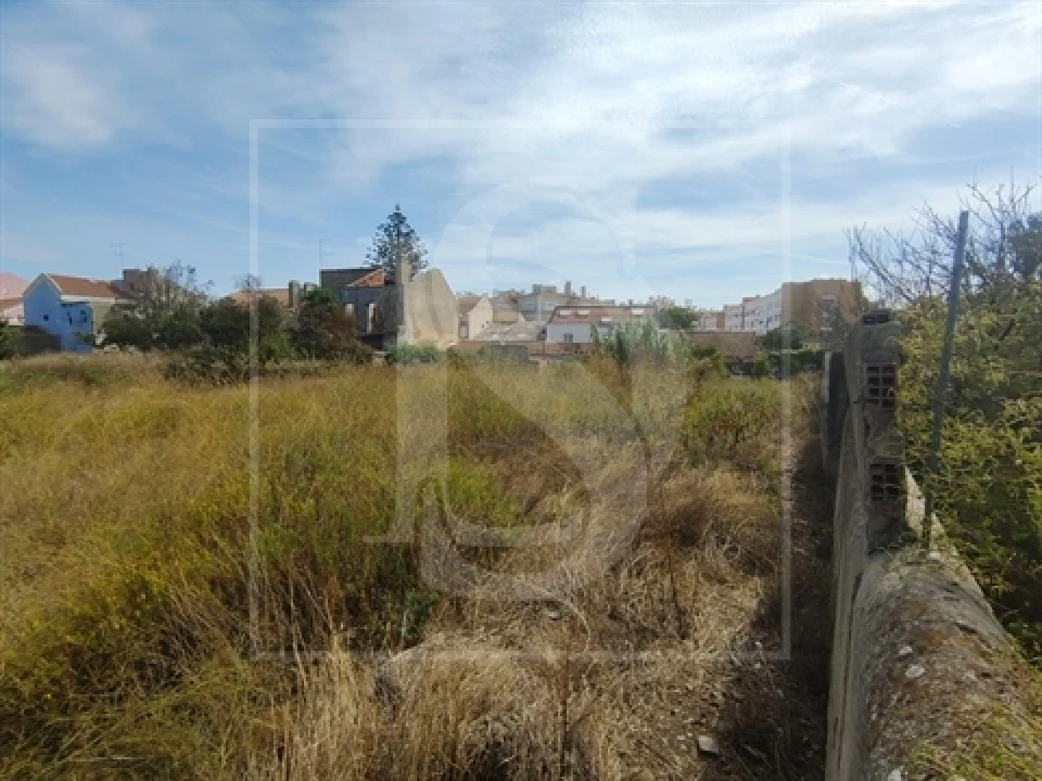 Quinta T0 para Venda em Santa Clara Foto 14