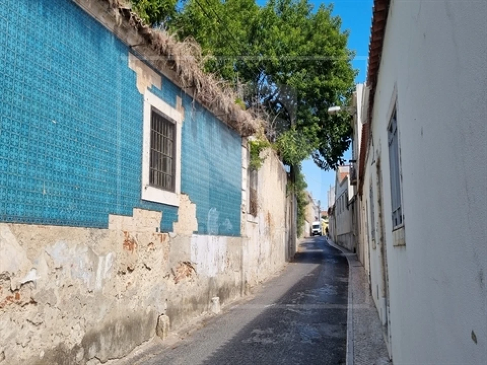 Quinta T0 para Venda em Santa Clara Foto 18