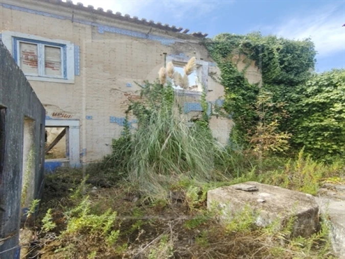 Quinta T0 para Venda em Santa Clara Foto 13