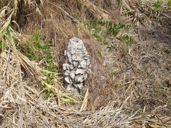 Quinta T0 para Venda em Santa Clara Foto 24