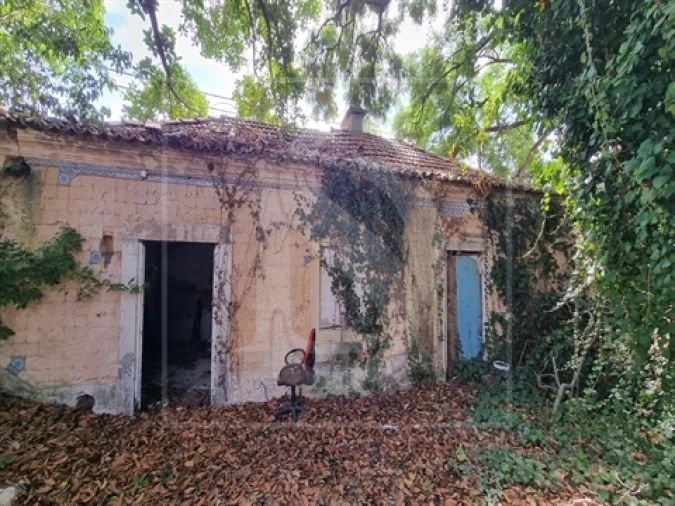 Quinta T0 para Venda em Santa Clara Foto 17