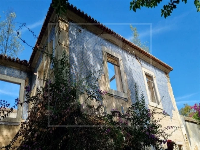 Quinta T0 para Venda em Santa Clara Foto 16