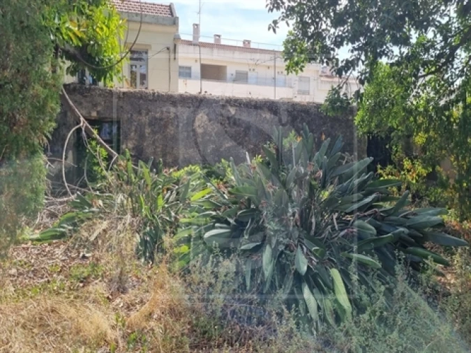 Quinta T0 para Venda em Santa Clara Foto 30