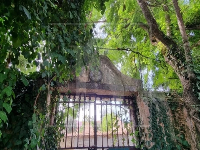 Quinta T0 para Venda em Santa Clara Foto 19