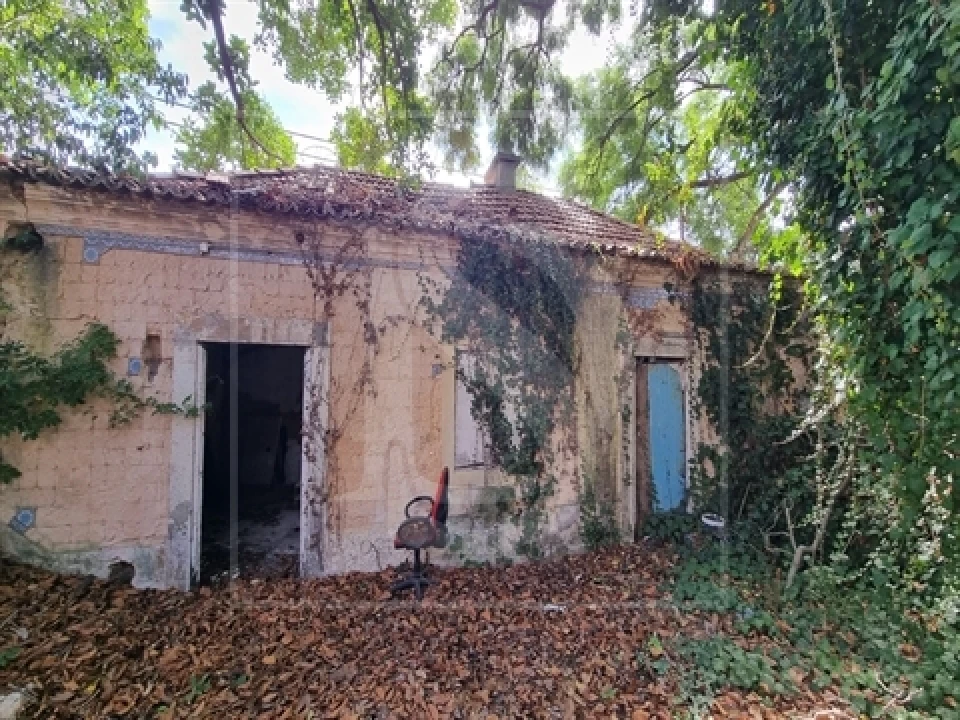 Quinta T0 para Venda em Santa Clara Foto 17