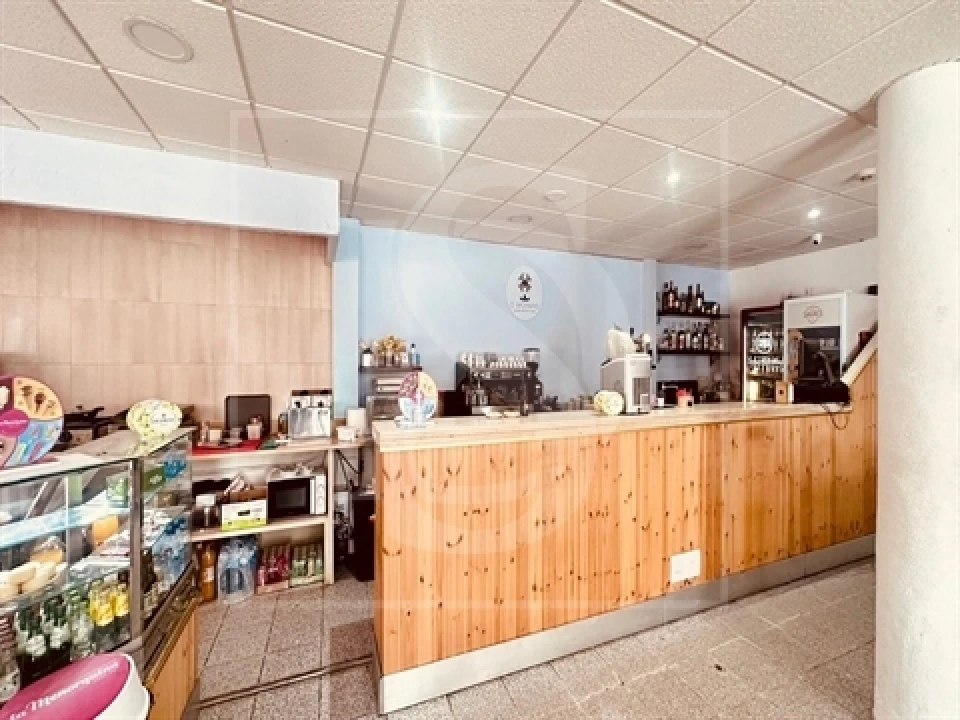 Moradia T3 para Venda em Paialvo Foto 41