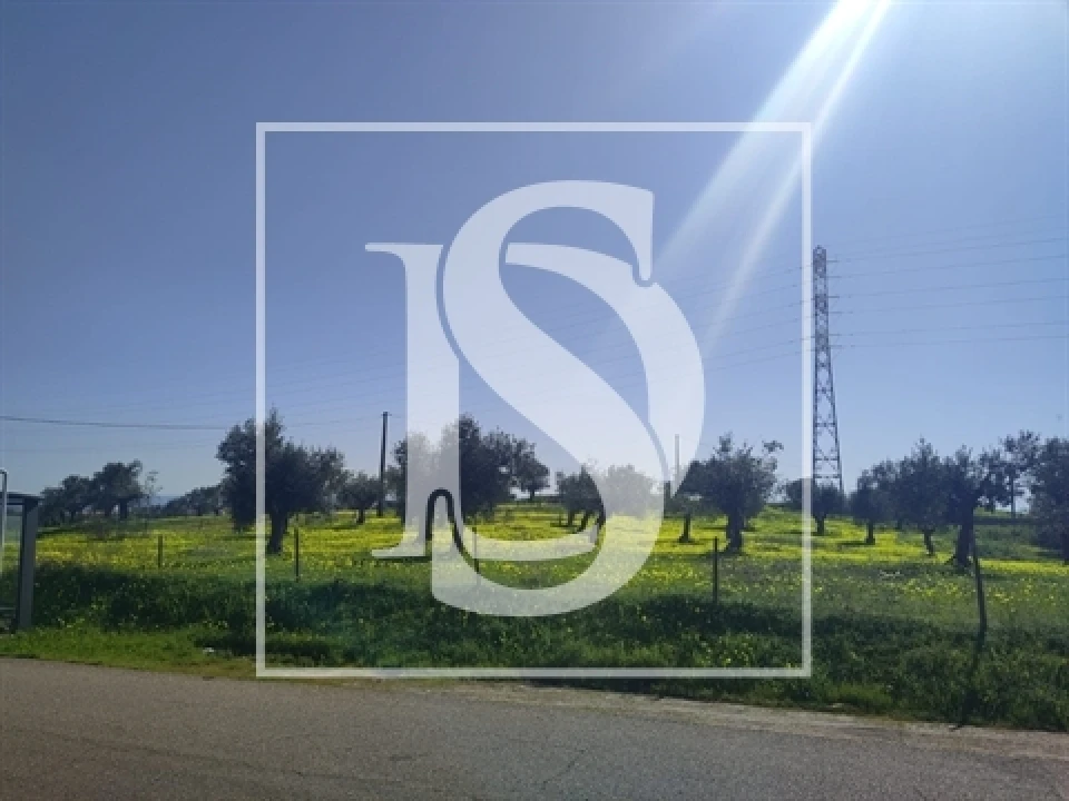 Terreno para Venda em Meia Via Foto 5