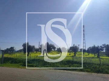 Terreno para Venda em Meia Via