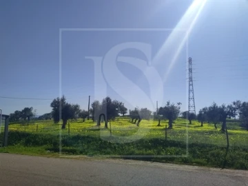 Terreno para Venda em Meia Via