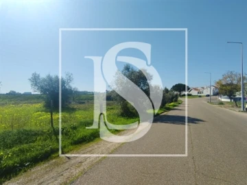 Terreno para Venda em Meia Via