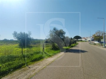 Terreno para Venda em Meia Via