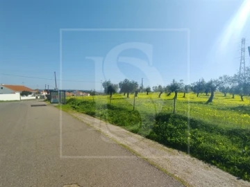 Terreno para Venda em Meia Via