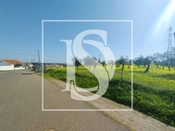 Terreno para Venda em Meia Via
