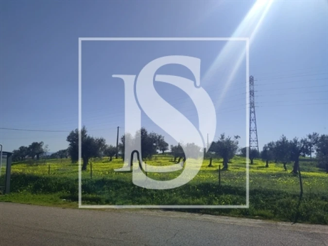 Terreno para Venda em Meia Via Foto 5