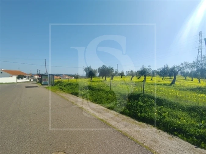 Terreno para Venda em Meia Via Foto 2