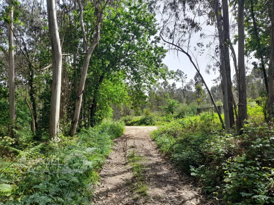 Terreno Comércio / Armazém para Venda em Vila Chã Foto 1