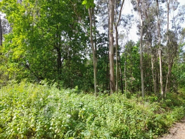 Terreno Comércio / Armazém para Venda em Vila Chã