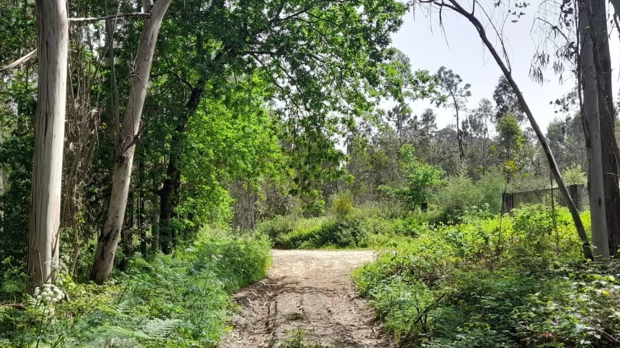 Terreno Comércio / Armazém para Venda em Vila Chã