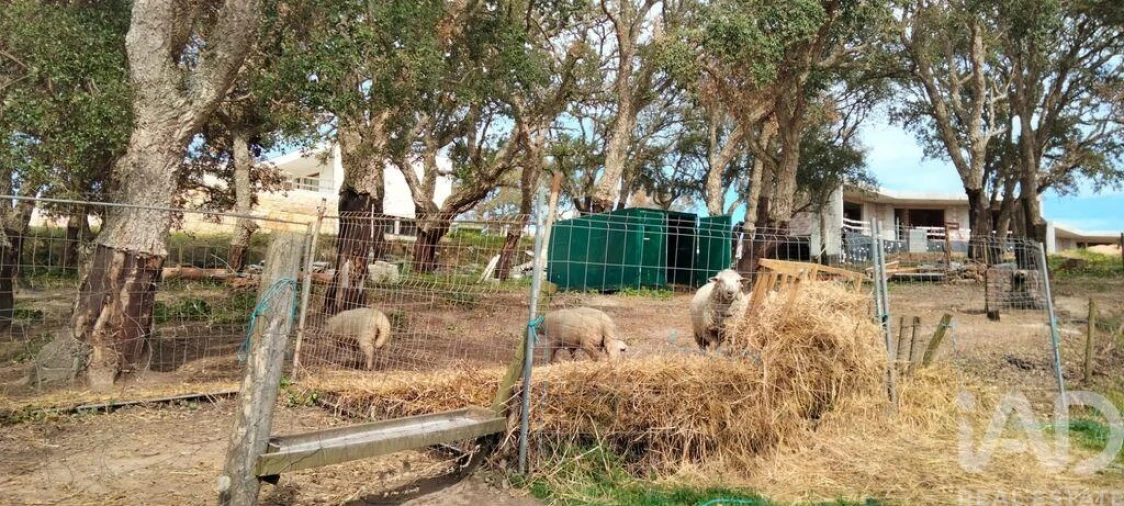 Moradia T3 para Venda em Nossa Senhora do Pópulo, Coto e São Gregório Foto 24