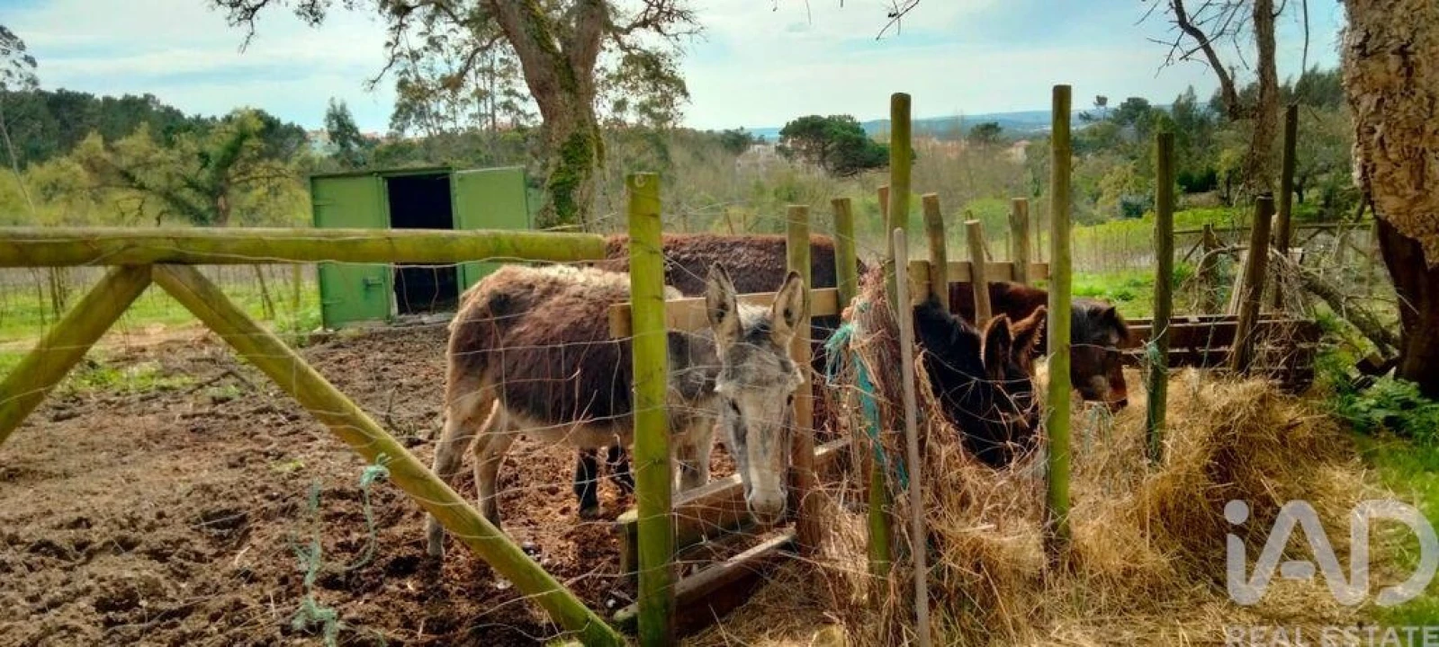 Moradia T3 para Venda em Nossa Senhora do Pópulo, Coto e São Gregório Foto 25