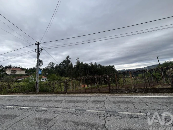 Terreno para Venda em Torre de D. Chama Foto 6