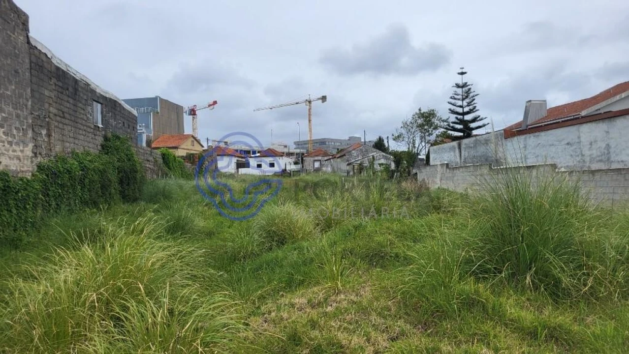 Terreno para Venda em Madalena Foto 5