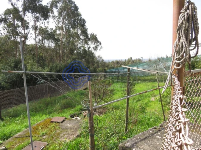 Moradia T3 para Venda em São João de Ver Foto 59