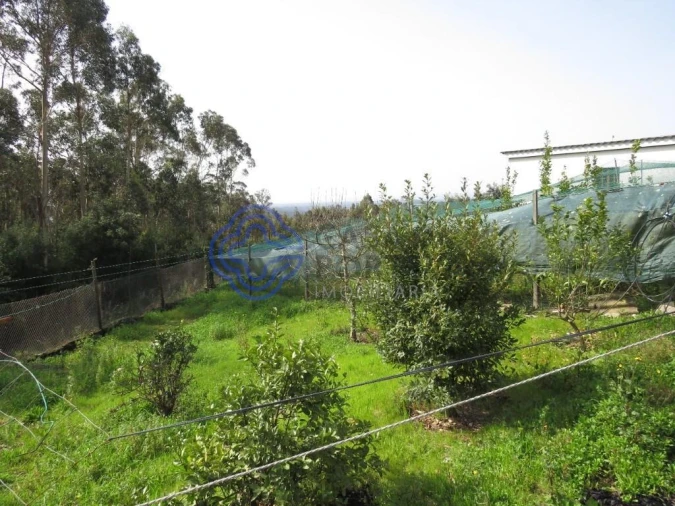 Moradia T3 para Venda em São João de Ver Foto 58