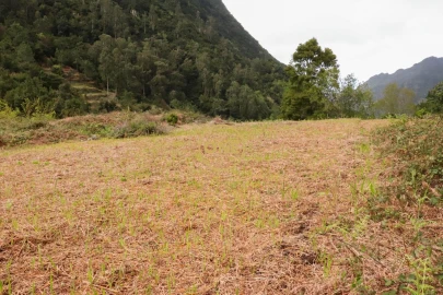 Terreno para Venda em Boa Ventura