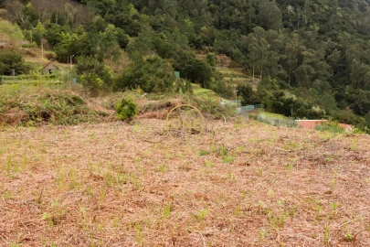 Terreno para Venda em Boa Ventura