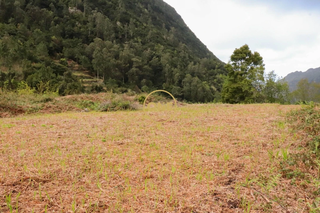 Terreno para Venda em Boa Ventura Foto 25