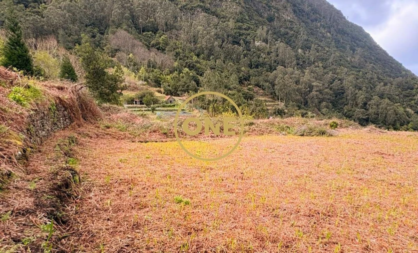 Terreno para Venda em Boa Ventura Foto 5