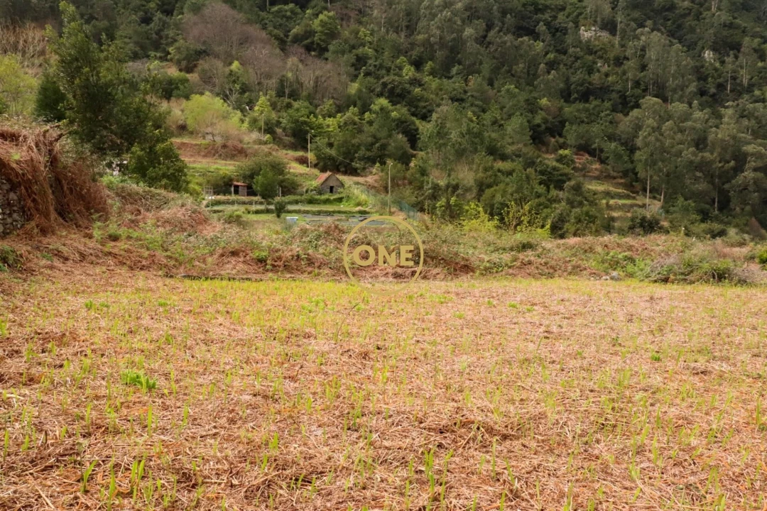 Terreno para Venda em Boa Ventura Foto 27