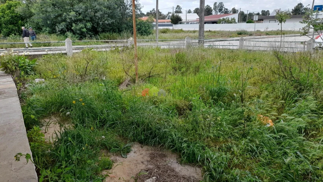 Terreno para Venda em Quinta do Anjo Foto 9