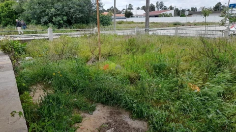 Terreno para Venda em Quinta do Anjo